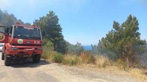 Arsuz’daki Orman Yangını kontrol altına alındı