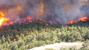 Antakya Günyazı  Kisecik’teki yangına 2 Uçak, 9 Helikopter ile 10 Arazöz’le müdahale edildi