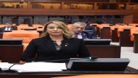 CHP Hatay Milletvekili Nermin Yıldırım Kara Tarım ile Enerji  Bakanlıklarına sordu:  Hatay’a ne tür yardım ve teşvikler yaptınız?