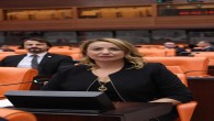 CHP Hatay Milletvekili Nermin Yıldırım Kara Mali Müşavirlere Yeşil Pasaport verilmesini istedi: Mali Müşavirler kamusal görev ifa ediyor!