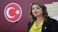 CHP Hatay Milletvekili Nermin Yıldırım Kara: Üreticilerimiz emeklerinin karşılığını alamadı!