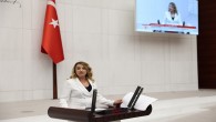 CHP Hatay Milletvekili Nermin Yıldırım Kara: Hırsızlık vakaları engellenmedi!
