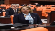 CHP Hatay Milletvekili Nermin Yıldırım Kara: Hatay Hava Limanında yanlış üstüne yanlış yapılıyor!