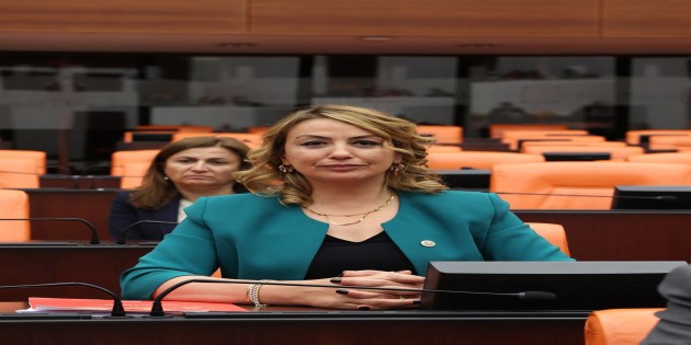 CHP’li Nermin Yıldırım Kara: Proje Okulları AKP’nin kadroşlaşma aracımı ?