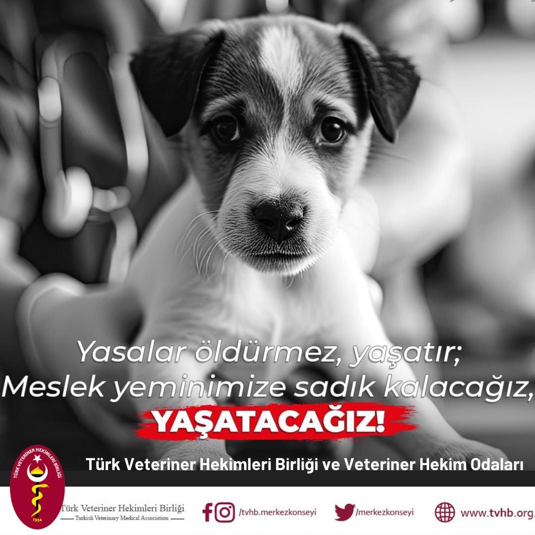 TÜRK VETERİNER HEKİMLER BİRLİĞİ MERKEZ KONSEYİ VE  VETERİNER HEKİM ODALARINDAN  BASIN AÇIKLAMASI: TÜRK VETERİNER HEKİMLER BİRLİĞİ MERKEZ KONSEYİ VE  VETERİNER HEKİM ODALARINDAN  BASIN AÇIKLAMASI: