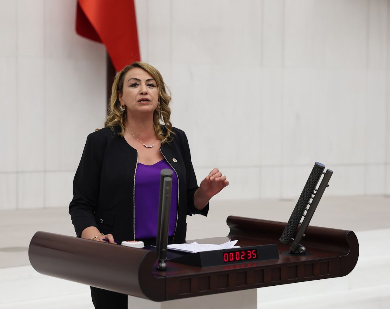 CHP HATAY MİLLETVEKİLİ NERMİN YILDIRIM KARA: