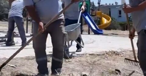 PARK VE BAHÇELER MÜDÜRLÜĞÜ EKİPLERİ, PARK VE YEŞİL ALANLARDA ÇALIŞMALARINI SÜRDÜRÜYOR