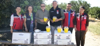 5 İLÇEDE NARENCİYE ÜRETİCİLERİNE SİNEK TUZAĞI DAĞITILDI