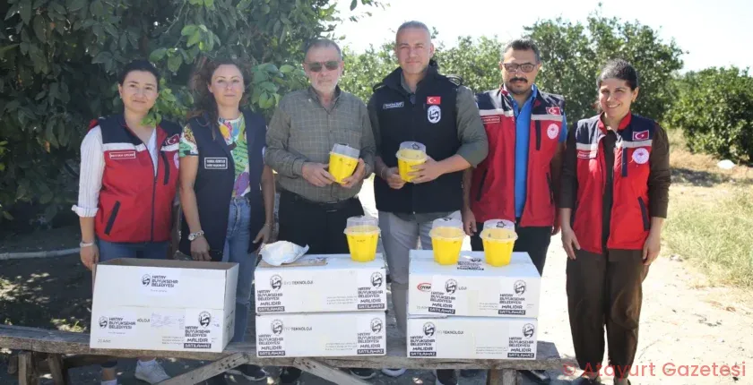 5 İLÇEDE NARENCİYE ÜRETİCİLERİNE SİNEK TUZAĞI DAĞITILDI 5 İLÇEDE NARENCİYE ÜRETİCİLERİNE SİNEK TUZAĞI DAĞITILDI