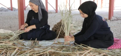 GÖLBAŞI GÖLÜ’NDE SU SÜMBÜLLERİ EKONOMİYE KAZANDIRILIYOR