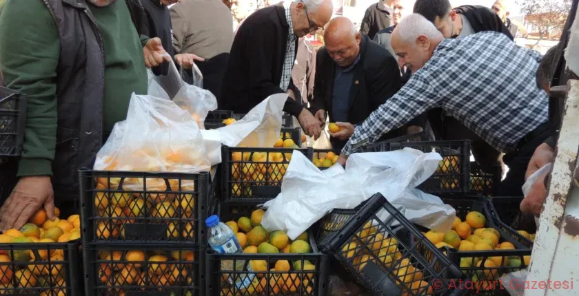 MANDALİN DALINDA KALDI, ÜRETİCİLER PARASIZ DAĞITIYORLAR! MANDALİN DALINDA KALDI, ÜRETİCİLER PARASIZ DAĞITIYORLAR!