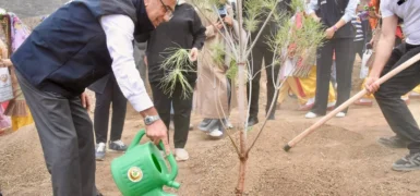 ANTAKYA BELEDİYESİ’NDEN MİLLİ AĞAÇLANDIRMA GÜNÜ ETKİNLİĞİ