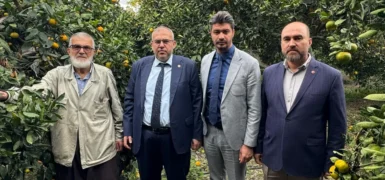 Hatay Milletvekili Necmettin Çalışkan’dan Hatay’da Narenciye Alarmı: Çiftçi Ürünü 1 Liraya Satıyor, Milli Narenciye Politikası Şart!