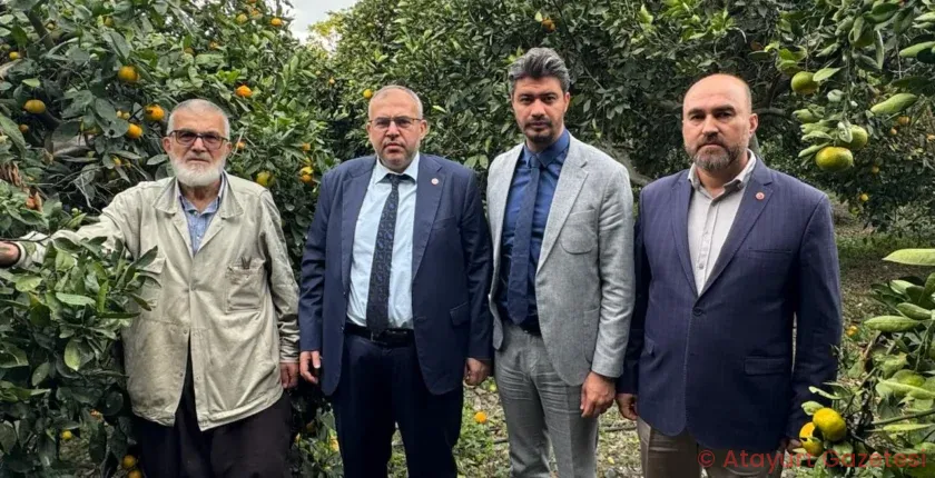 Hatay Milletvekili Necmettin Çalışkan’dan Hatay’da Narenciye Alarmı: Çiftçi Ürünü 1 Liraya Satıyor, Milli Narenciye Politikası Şart!