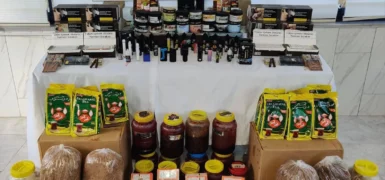 JANDARMA EKİM AYINDA HATAY GENELİNDE 64 KAÇAKÇILIK ŞÜPHELİSİNİ YAKALADI