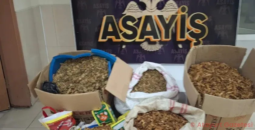 SAMANDAĞ’DA DURDURULAN ARAÇ TA 250 KİLO KIYILMIŞ TÜTÜN YAKALANDI SAMANDAĞ’DA DURDURULAN ARAÇ TA 250 KİLO KIYILMIŞ TÜTÜN YAKALANDI